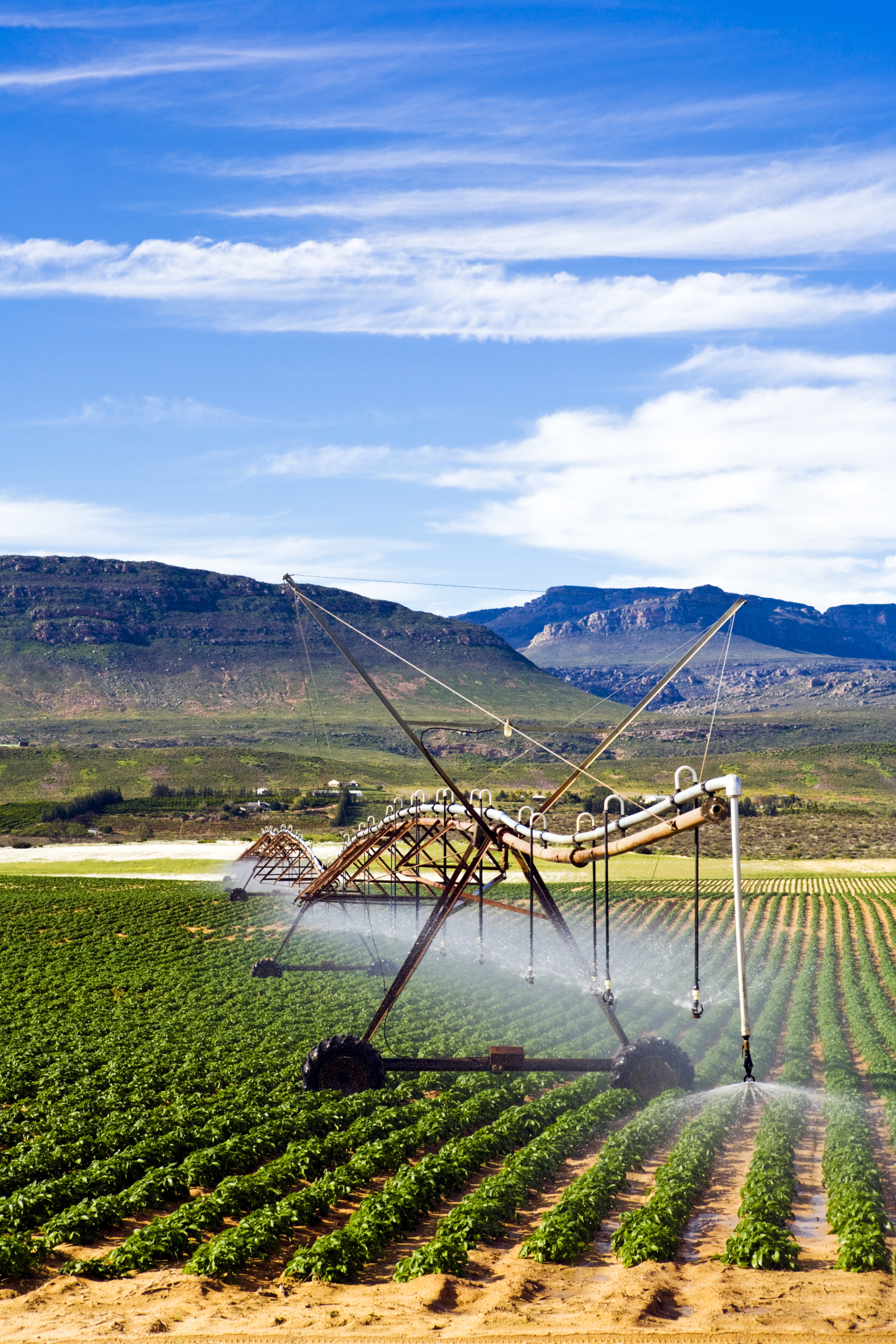 Irrigation system
